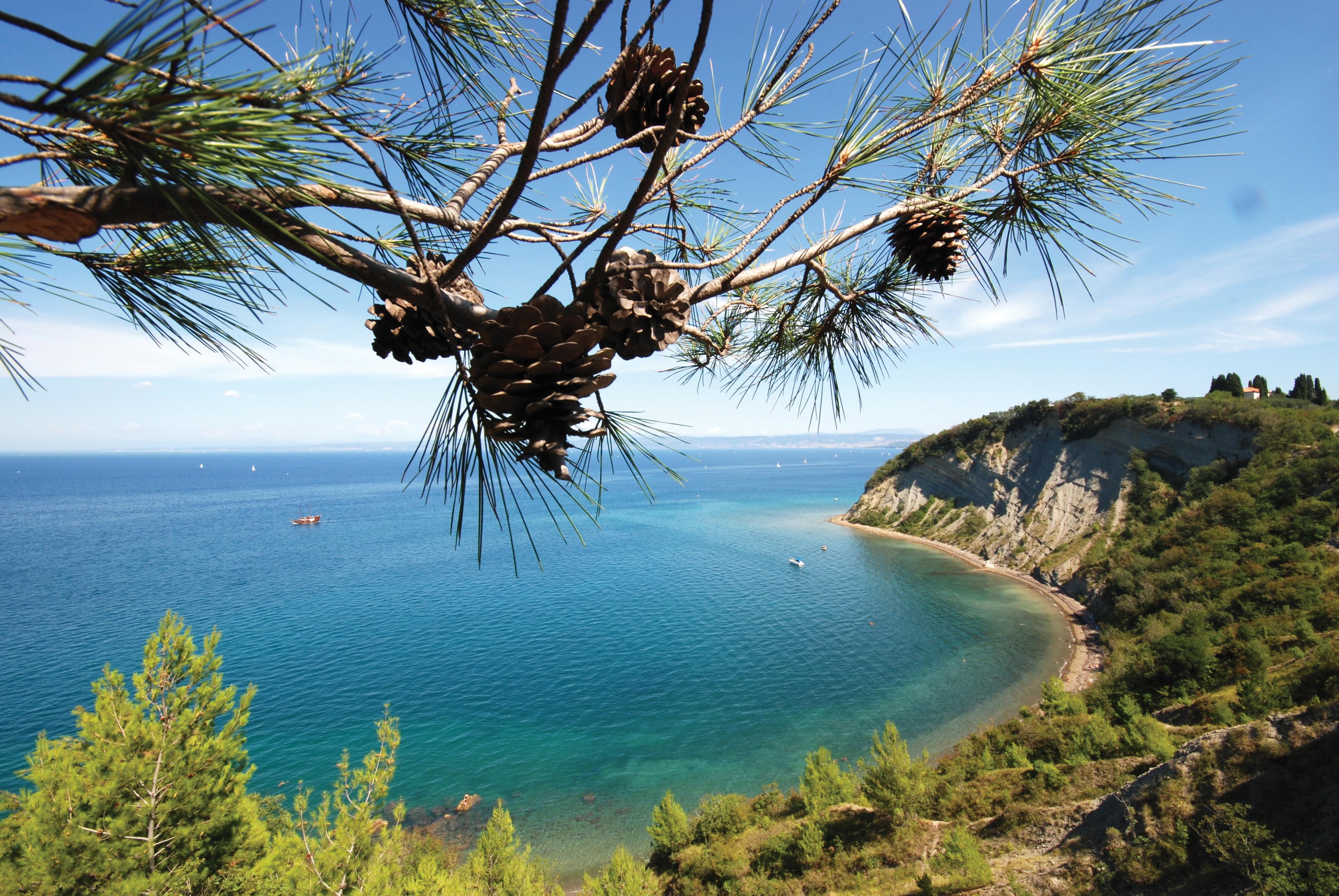 Bioenergy Resort Salinera Apartments Strunjan Buitenkant foto